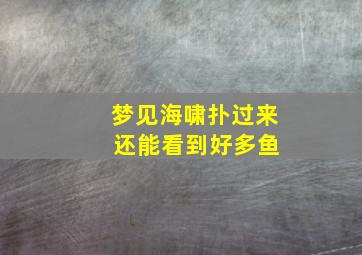 梦见海啸扑过来 还能看到好多鱼